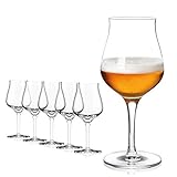 Sahm Biergläser Set 6 STK - 420ml Bier Sensorik Pokal - Bier Gläser Spülmaschinengeeignet - Ideales Gourmet Bier Geschenk & Craft Beer Gläser