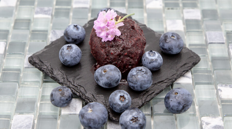 Blueberry sorbet served with blueberries