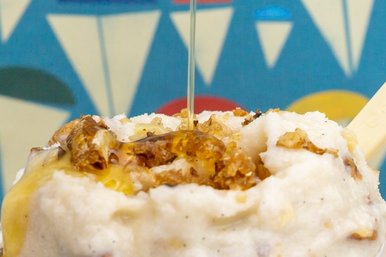 Veganes Walnuss-Eis mit karamellisierten Nüssen - eis-macher.de