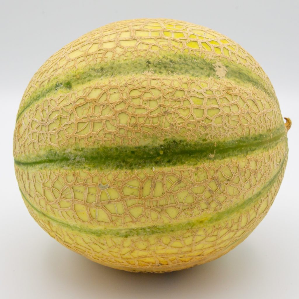 Eine reife Netzmelone ist die Grundlage für ein leckeres Melonen-Sorbet.