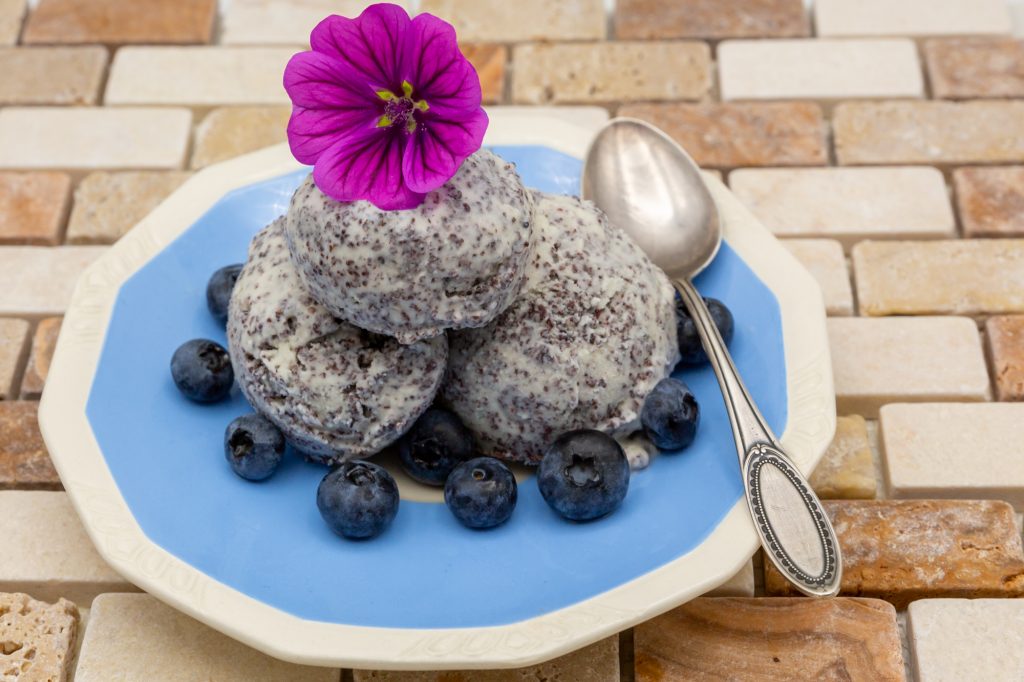 Delicious frozen poppy seed dessert arranged with blueberries.