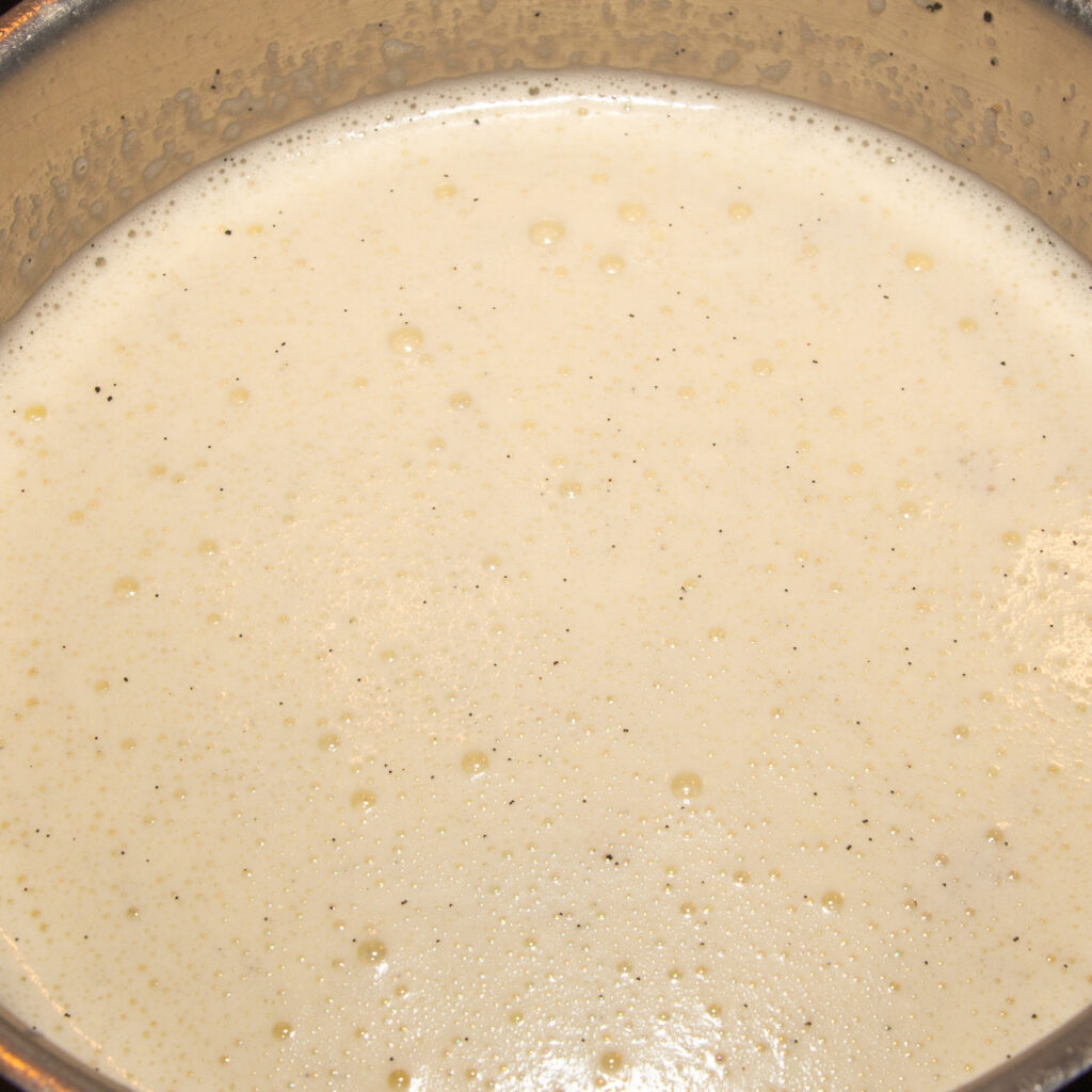 Mezcla preparada para helado de anacardos.