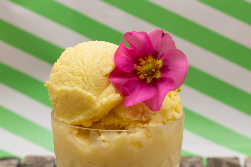 Maracuja-Eis mit Tonkabohne und Joghurt schmeckt herrlich erfrischend.