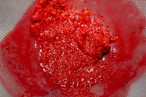 Raspberry sorbet Raspberry seeds are best removed from the mixture with a sieve