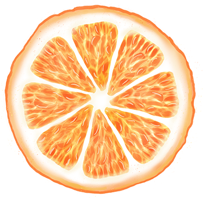 Orange slice